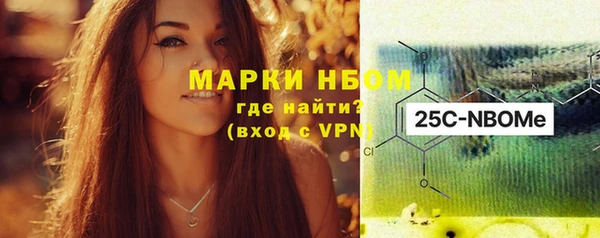 шишки Костерёво