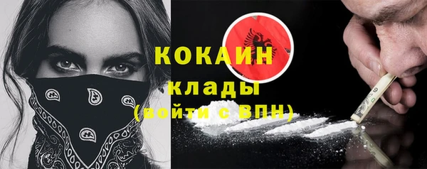дживик Аркадак